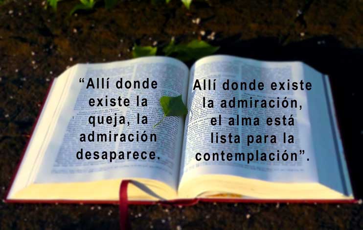 biblia misionera