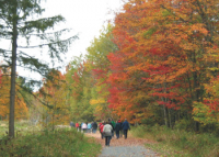 Thought for the month October 2021 - Father Louis-Marie Parent, O.M.I.