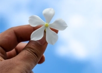 Thought of Father Louis-Marie Parent, O.M.I. / Reflection 8