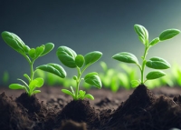 Tu ensemences mon cœur