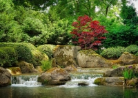 Plantar un jardín de paz