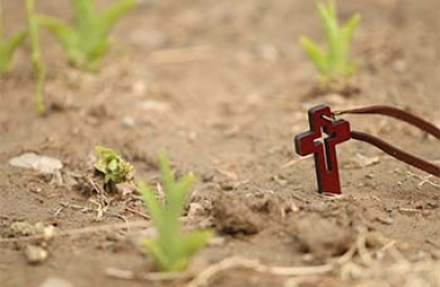 Thought of Father Louis-Marie Parent, O.M.I. / Reflection 27