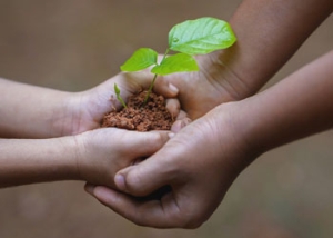 Recommence &agrave; vivre (2)