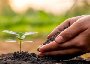 Recommence &agrave; vivre (1)