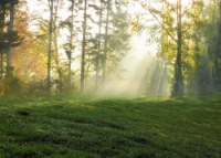 Le moment présent (3)