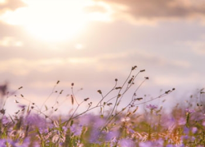 Psalm of praise and thanksgiving