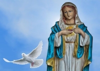 Poem to Mary my Mother